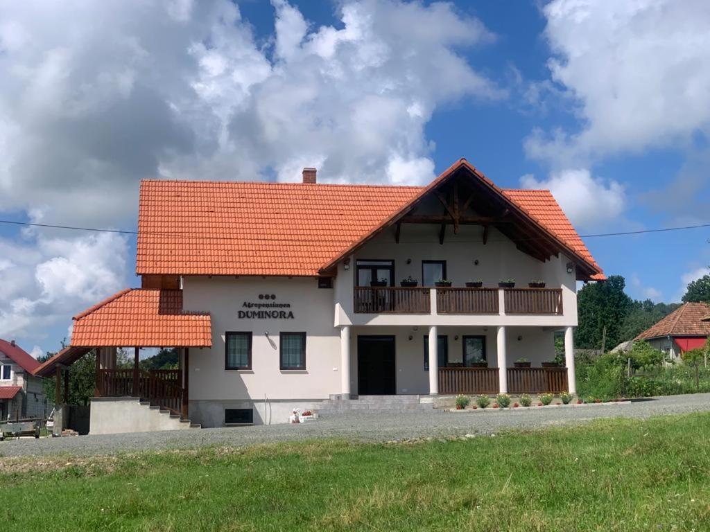 Agropensiunea Duminora Laschia Exterior photo